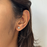 SOLITAIRE STUDS (3MM)- 18K GOLD-PLATED