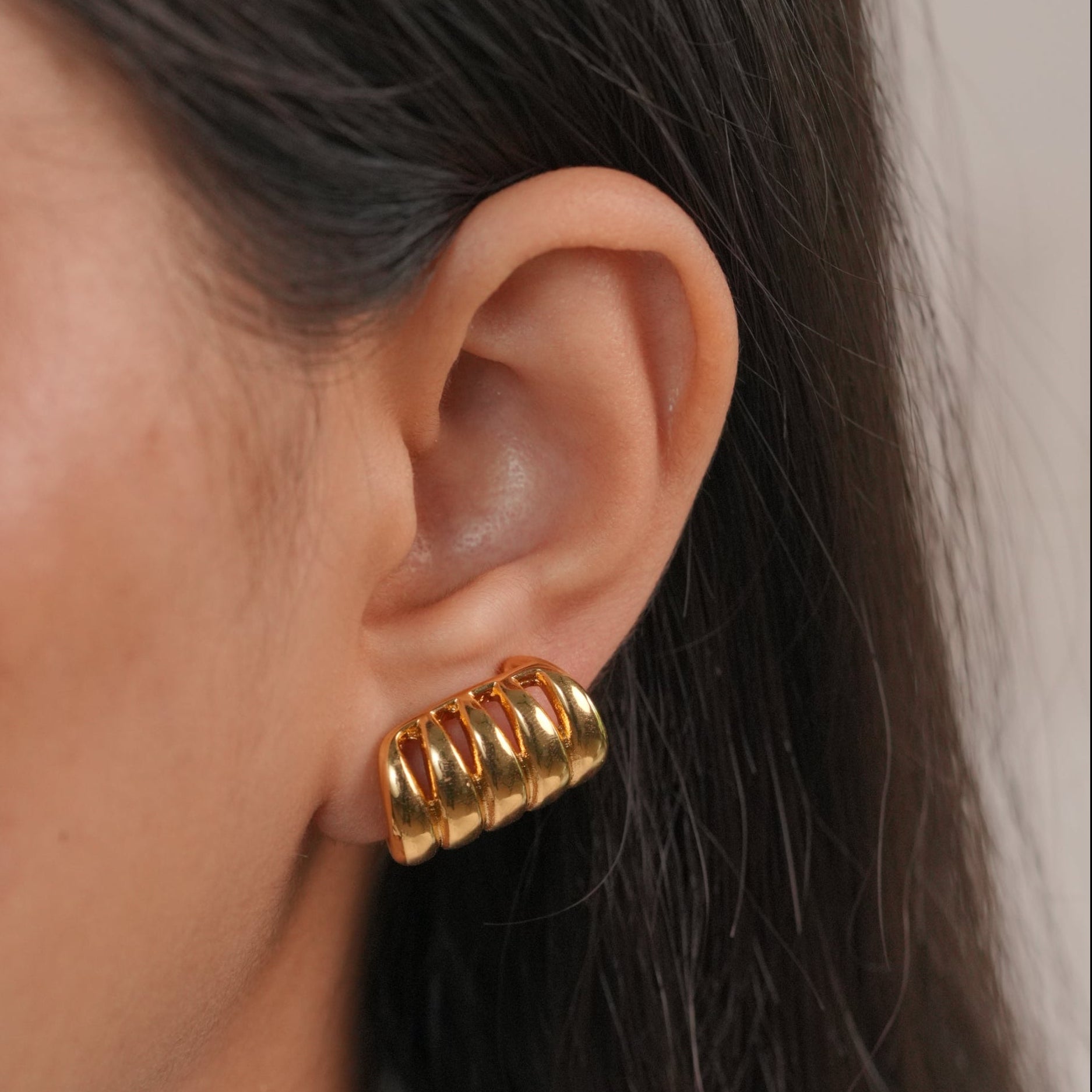 Climber Earrings