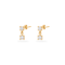 Dainty Crystal Drop Earrings